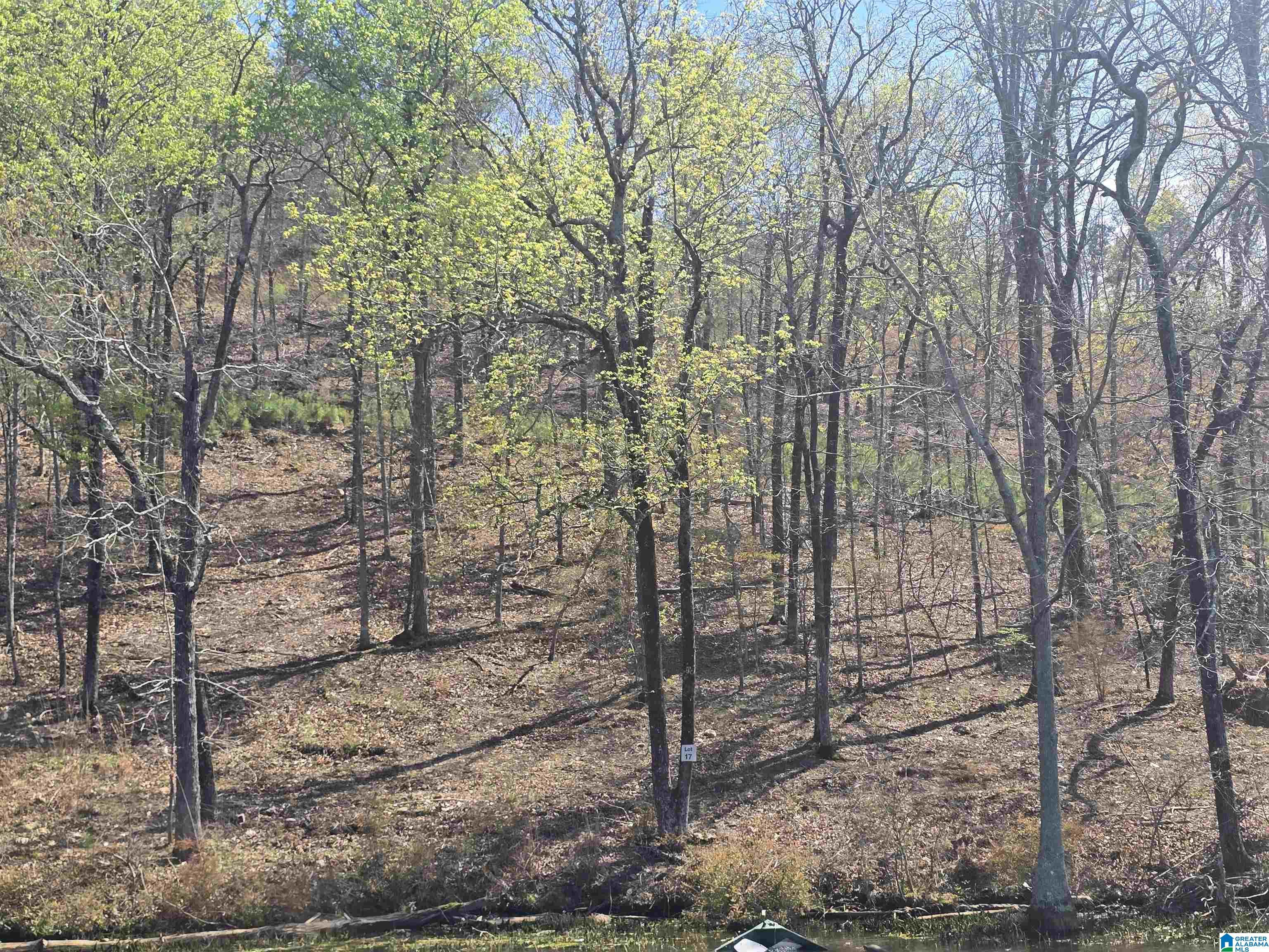 Image 1: View