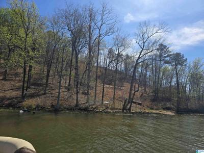 Lot 18 EAGLE POINT TRACE