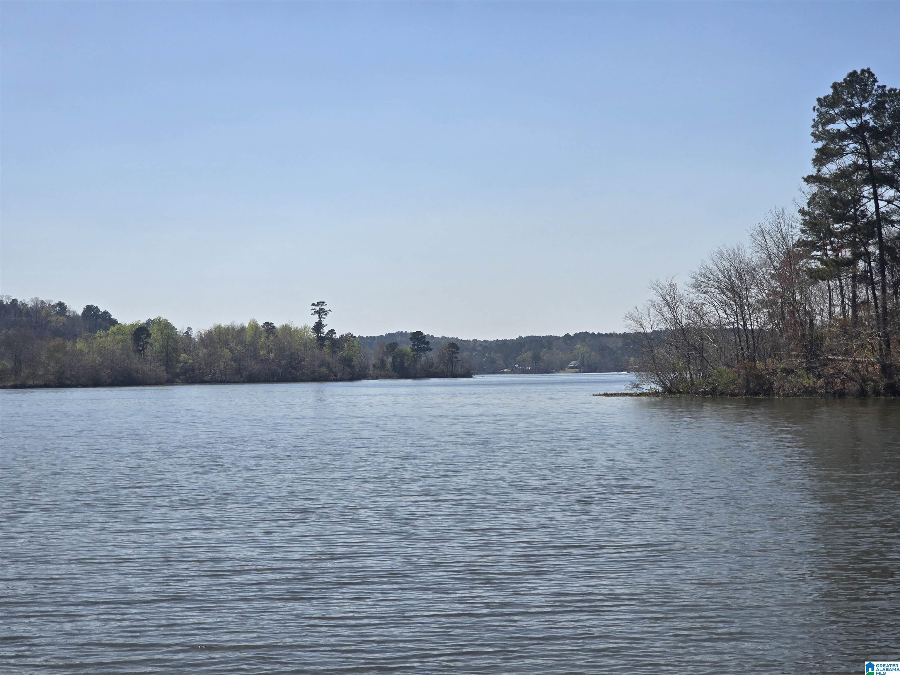 Image 2: View