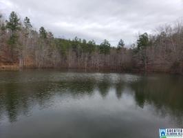 Lot 33 WOODGATE SHORES DR