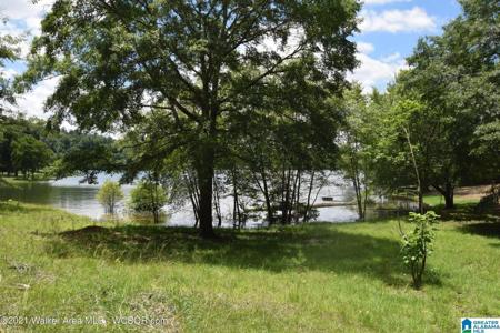 1336 DAVE WILSON CIRCLE