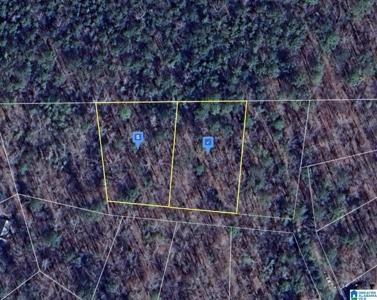 150 LONG LEAF WAY