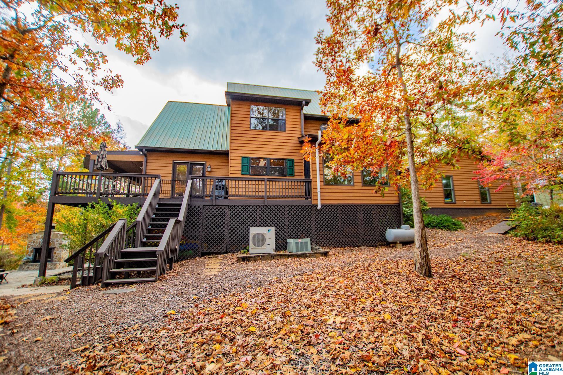 Image 4: LARGE FLAT LOT