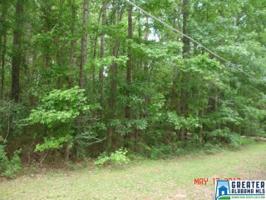 Lot 1 CO RD 262
