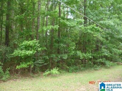 Lot 7 COUNTY ROAD 707
