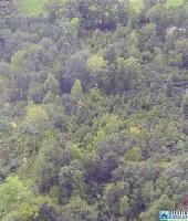 0 GREENFIELD RD