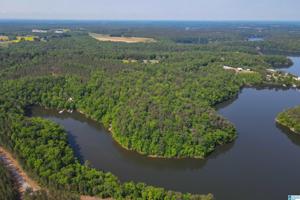 1784 COUNTY ROAD 71