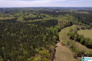 Lot 1 OLD HIGHWAY 431