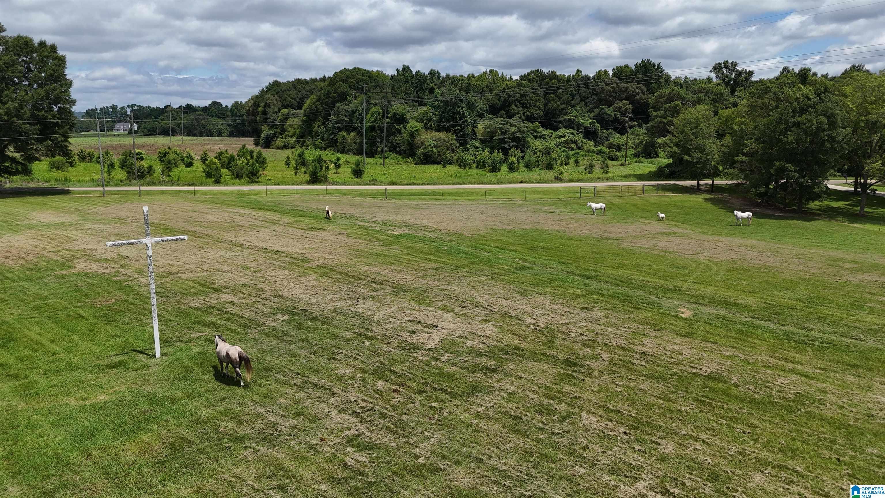Image 2: Yard