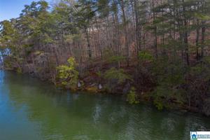 Lot 13 CR 2118 CO RD