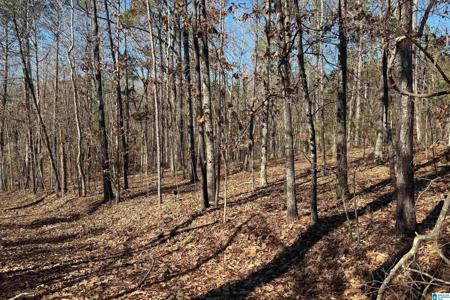 Lot 43 BEACH ISLAND TRACE