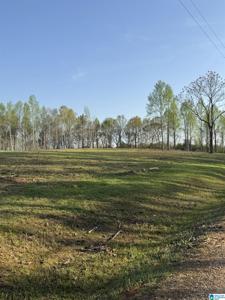 8+/- Acres PEACE OF MIND DRIVE