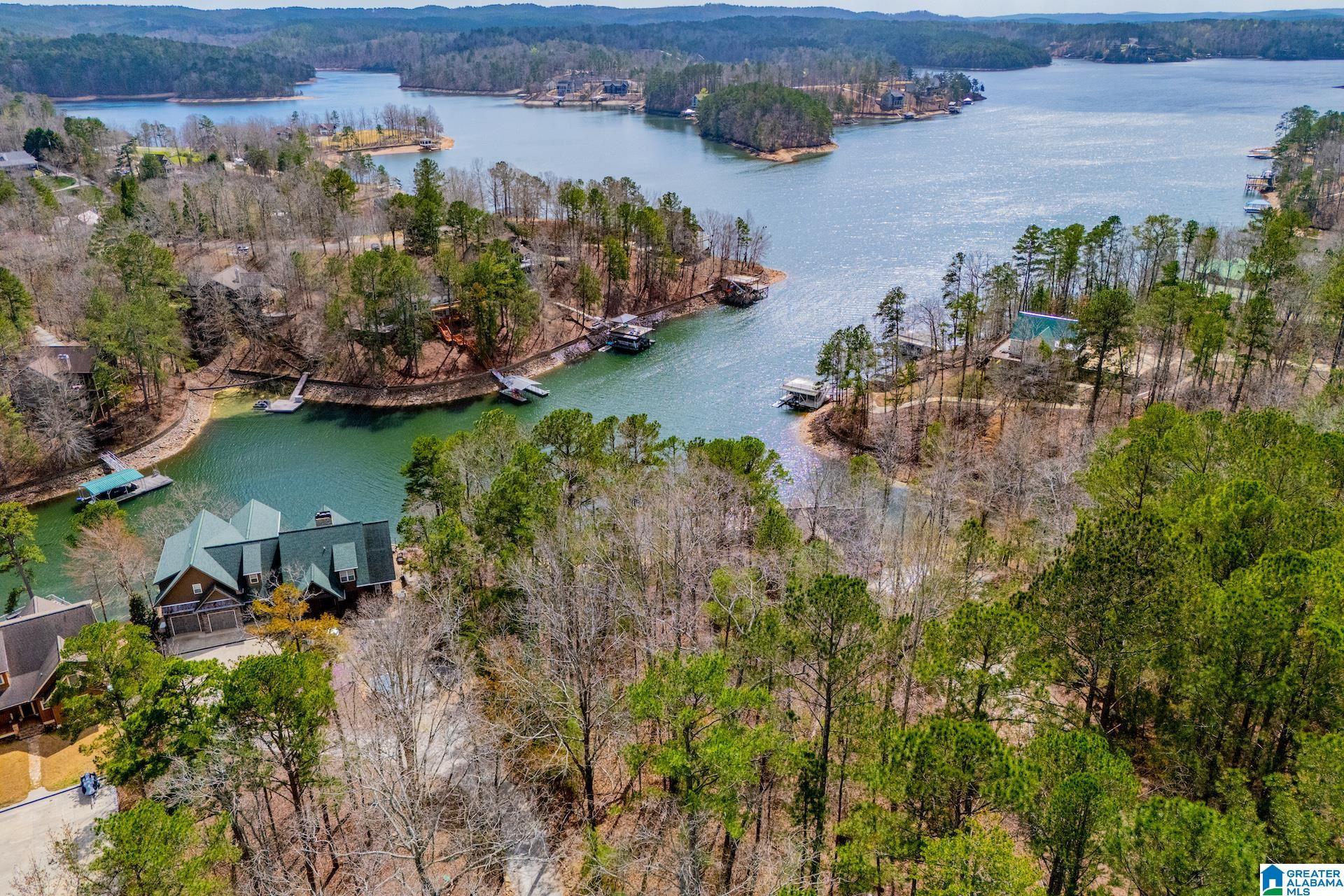 Image 1: PRISTINE LOT ON LAKE WEDOWEE
