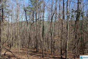 Lot N/A CO RD 223