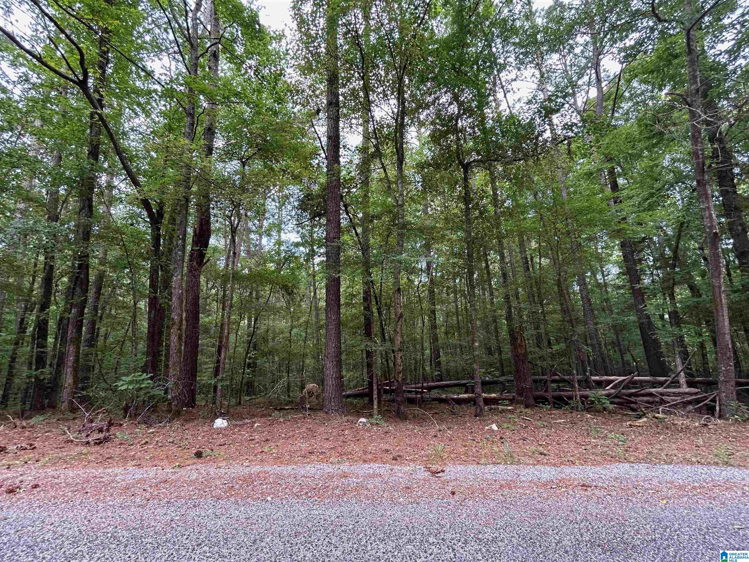 Lot 96 WILLOW BEND CIRCLE, TALLADEGA, AL lhrmls02278994