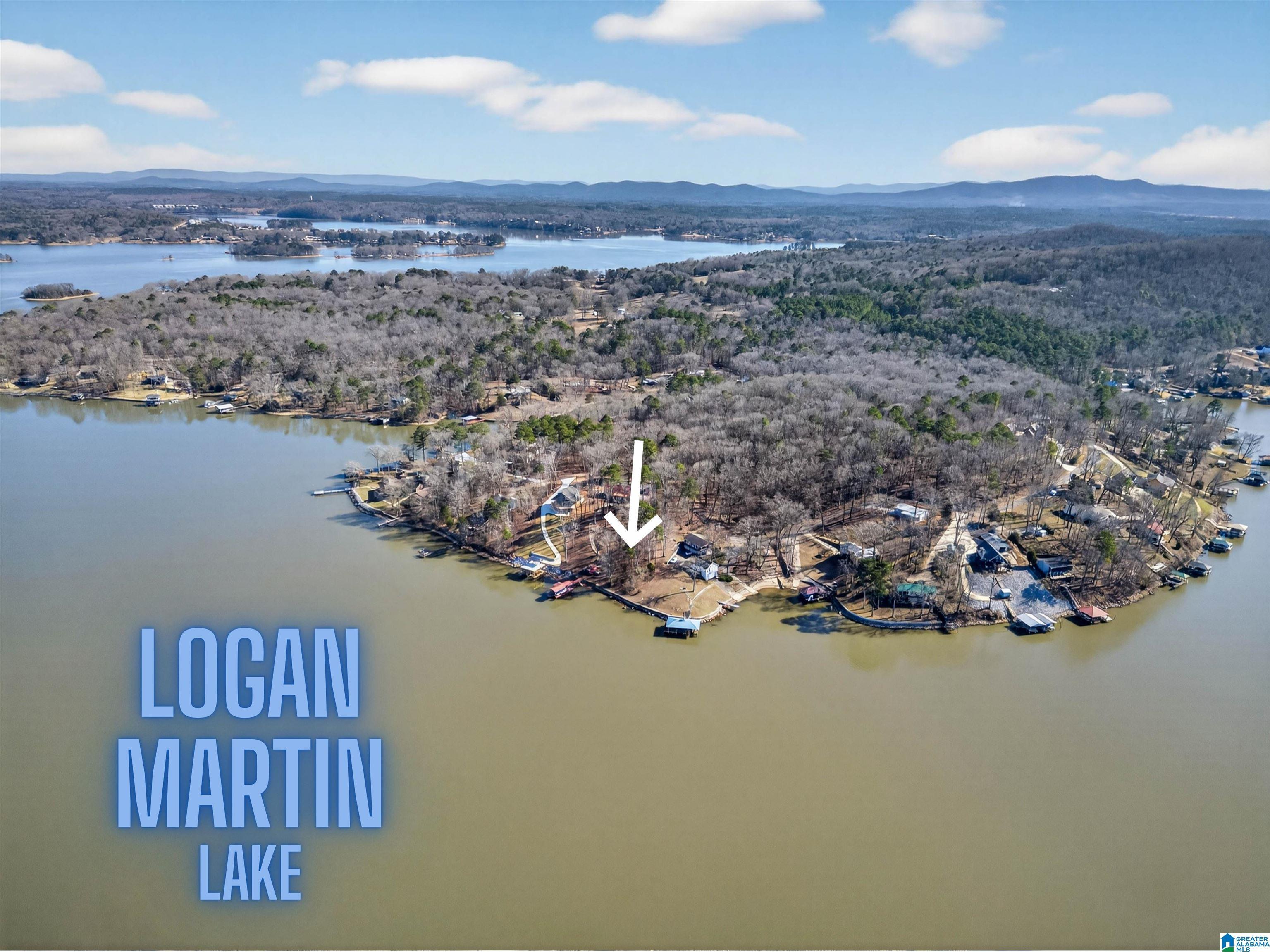 Image 1: Lake Lot .73 +/- Acre