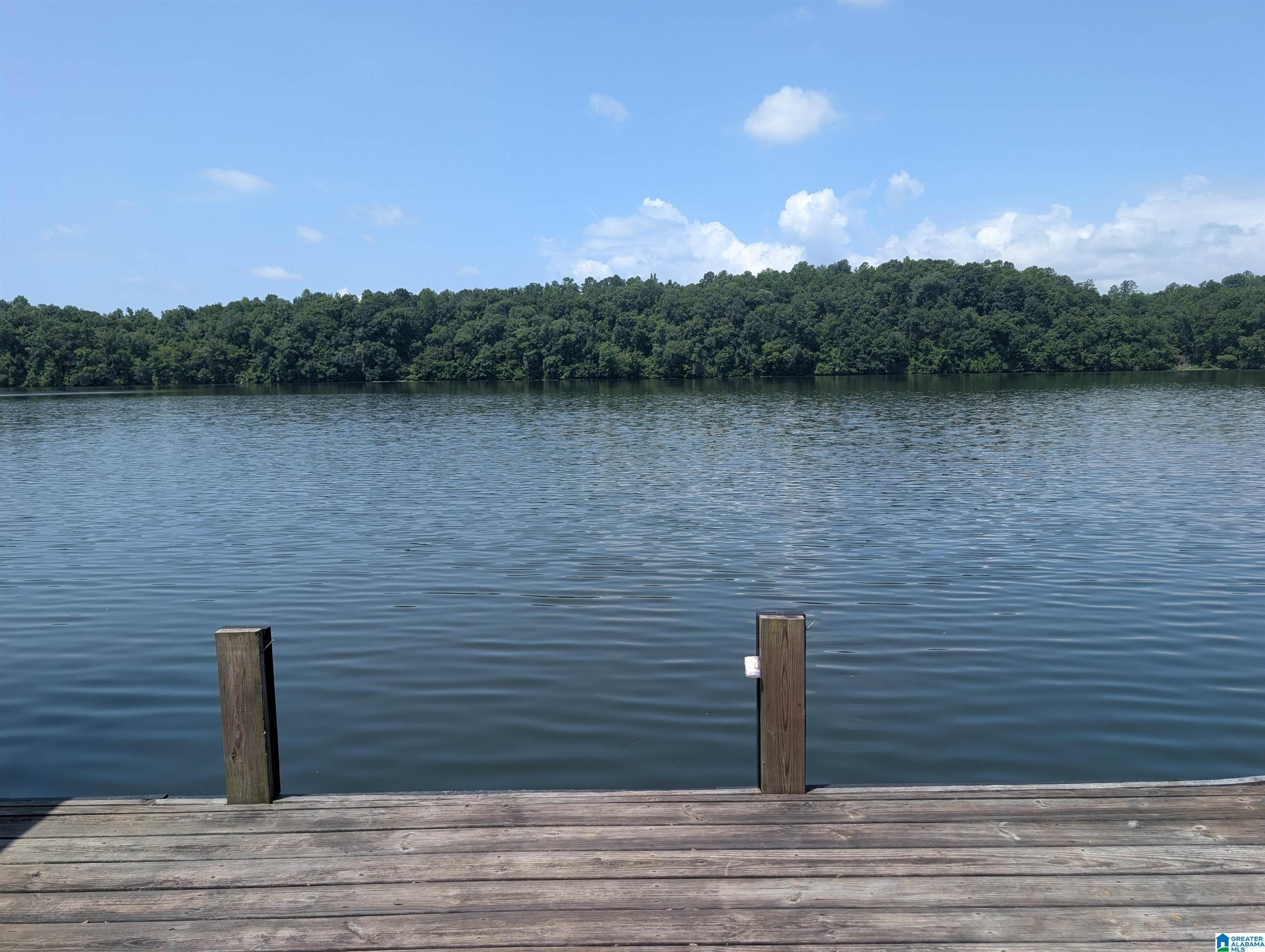 Image 1: Dock