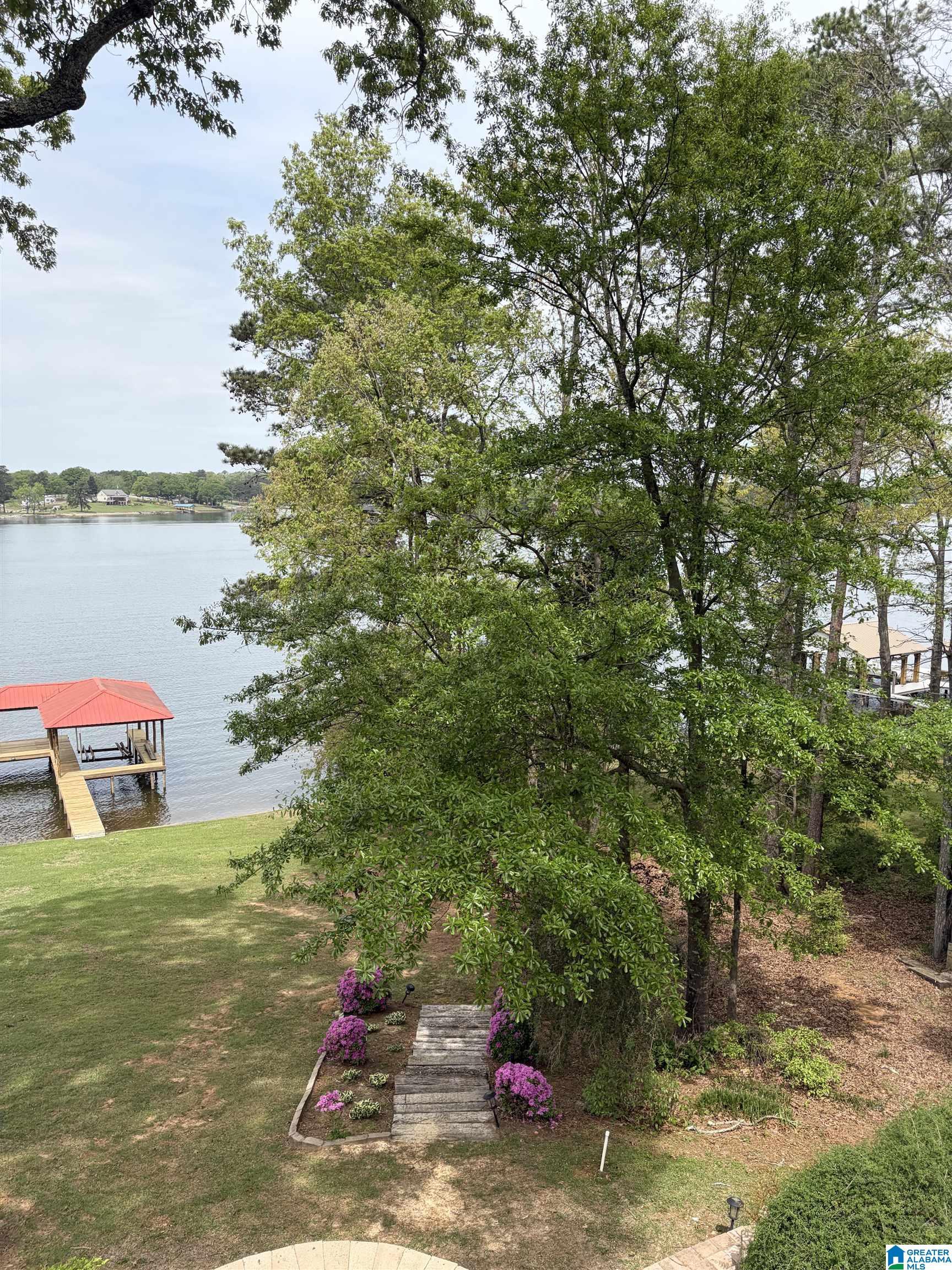 Image 4: Yard