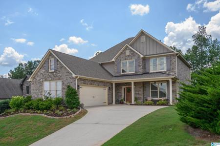 1505 SCOUT TRACE