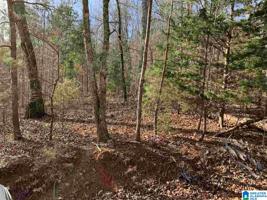 227 ALLISON LN