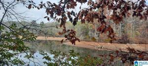 Lot 13 POINTE SOUTH DRIVE