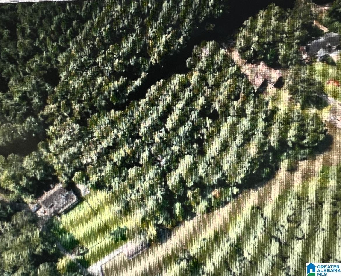 Image 1: Image 1