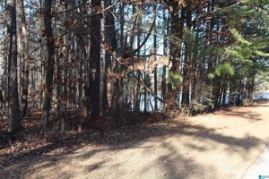 1343 HIGHLAND LAKES TRAIL