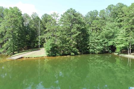 Lot 1 COUNTY ROAD 240