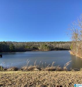 Lot 602 DEER RIDGE WAY