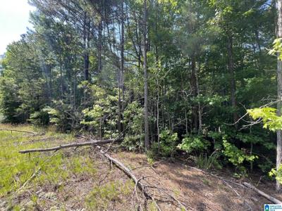 Lot 34 COUNTY ROAD 100
