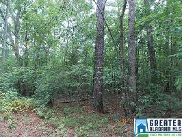 CO RD 252 Lot 36.26