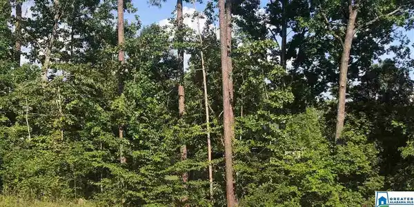 Lot 3 DEER CHASE RD