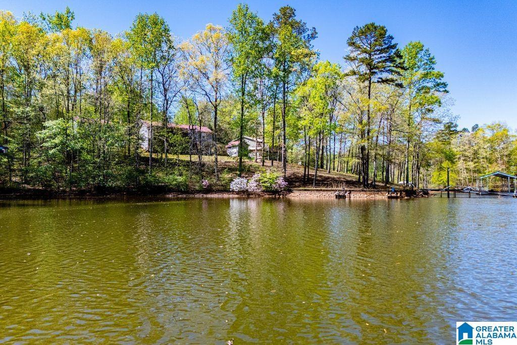 Image 4: VIEW OF HOME FROM LAKE