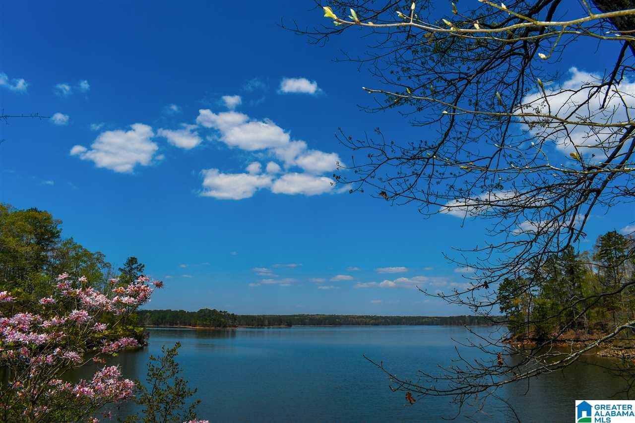 Image 1: BREATHTAKING VIEWS OF THE LAKE