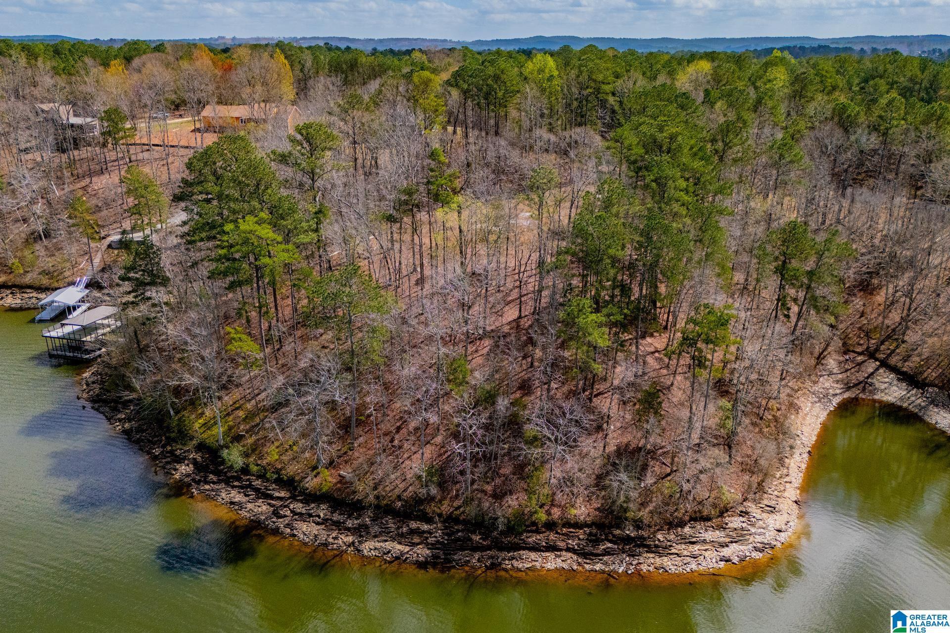Image 2: AERIAL VIEW OF POINT LOT