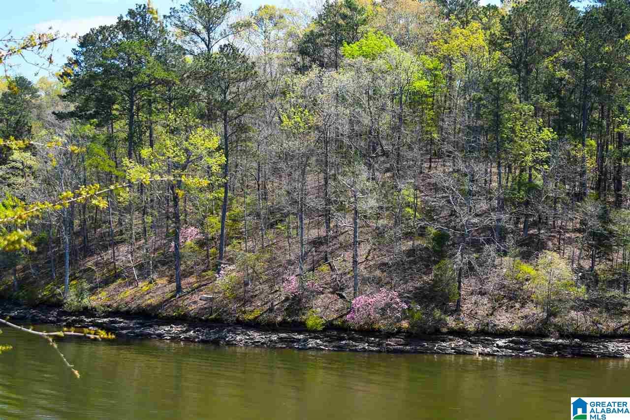 Image 4: 618 FEET OF SHORELINE, YEAR ROUND WATER