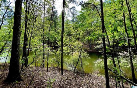 Lot 127 POST OAK ROAD