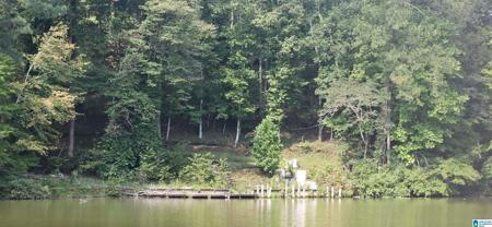 1716 COUNTY ROAD 465