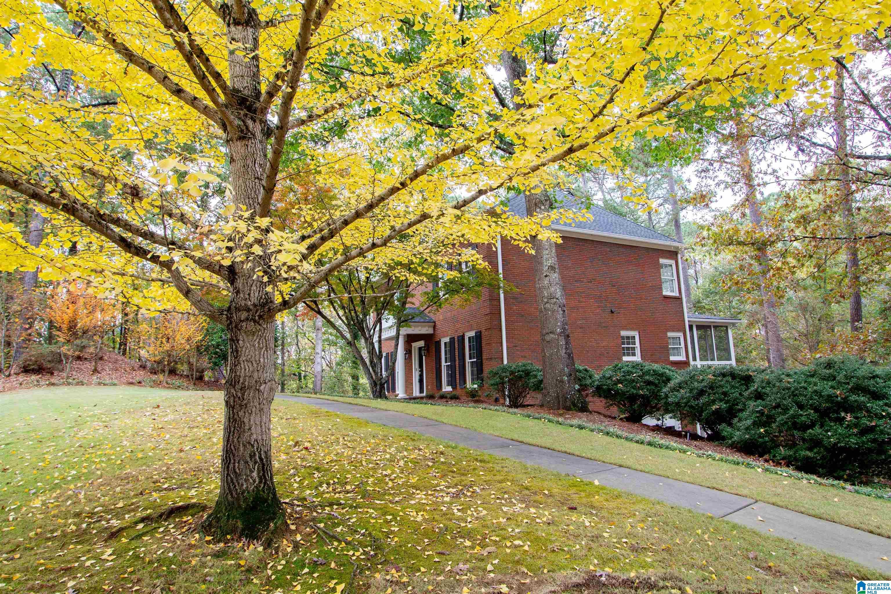 Image 2: Gorgeous Ginkgo in the Fall!