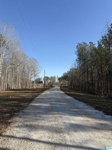 Lot 12 COUNTY ROAD 499