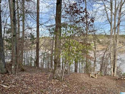 Lot 78 WRIGHT WAY DRIVE