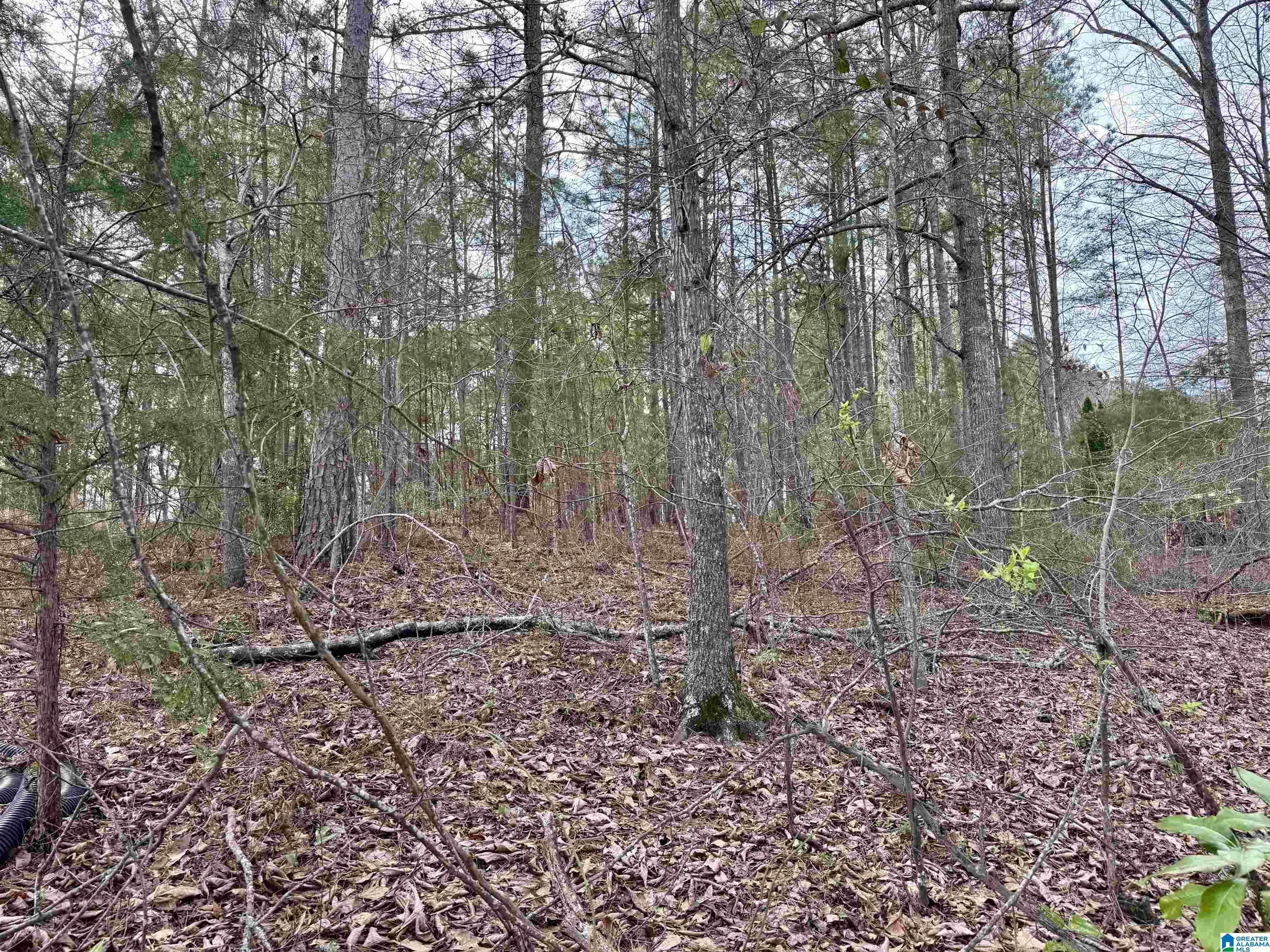 Image 2: View