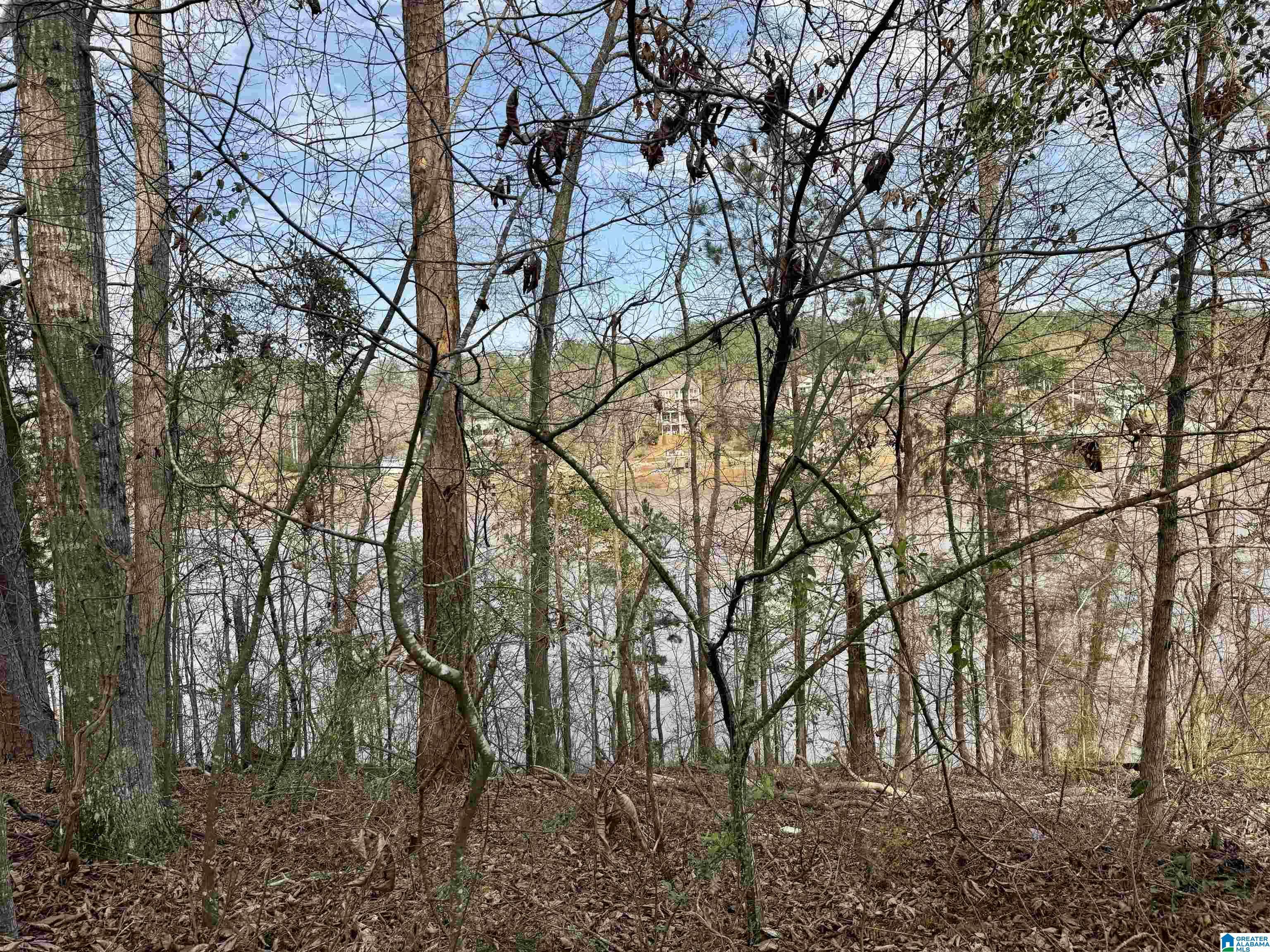 Image 3: View
