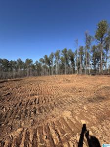 5.38 +/- Acres PEACE OF MIND DRIVE