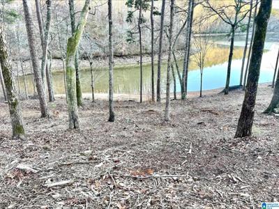 Lot 28 SOUTH SHORE DRIVE