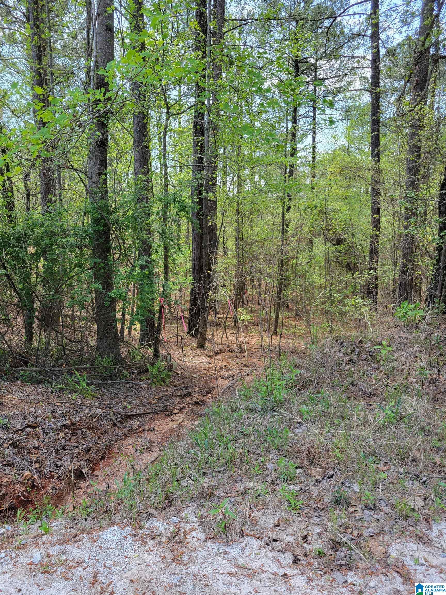 Image 2: View