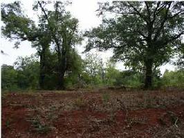1241 BUDDY VINES CAMP RD Lot 0
