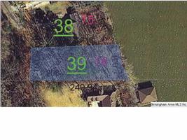 Lot 16 MUSCADINE DRIVE
