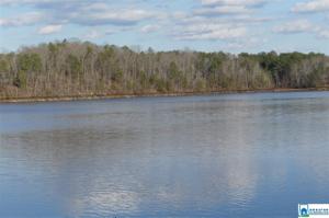 Lot 1 INTERNATIONAL HARVESTER DR