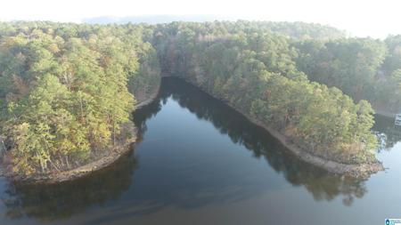 0 COUNTY ROAD 804